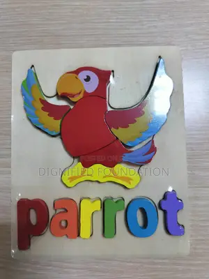 Education Toys