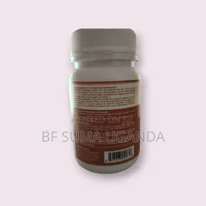 Quad-Reishi Capsules for Liver Health and Immunity