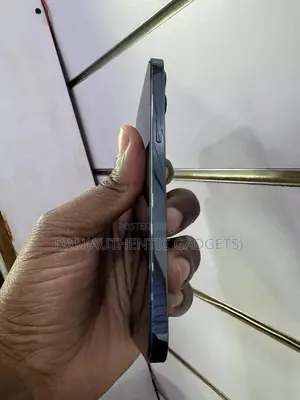 Apple iPhone 12 Pro Max 256 GB Blue