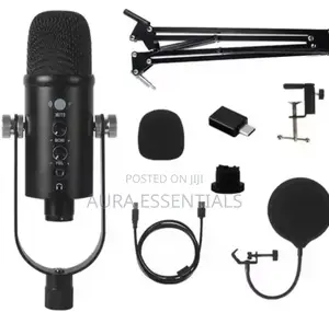 Metal Usb Microphone