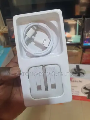 25w iPhone Charger