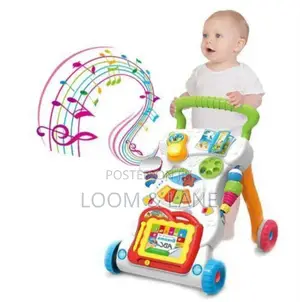 Unique Multifunctional Children Music Walker