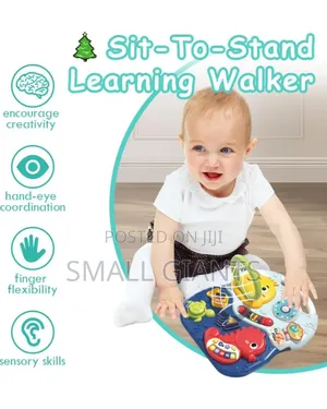3-in-1 Baby Learning Walker