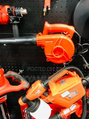 Wise Up Electric Blower