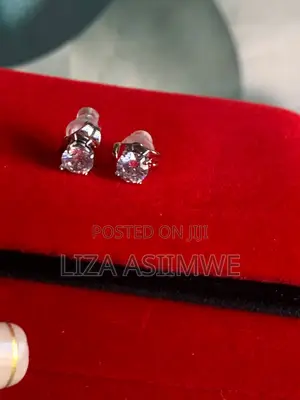 Iced Out Pins (People Who Pierced )