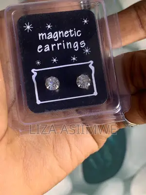 Iced Out Round Silver Magnetic Pins