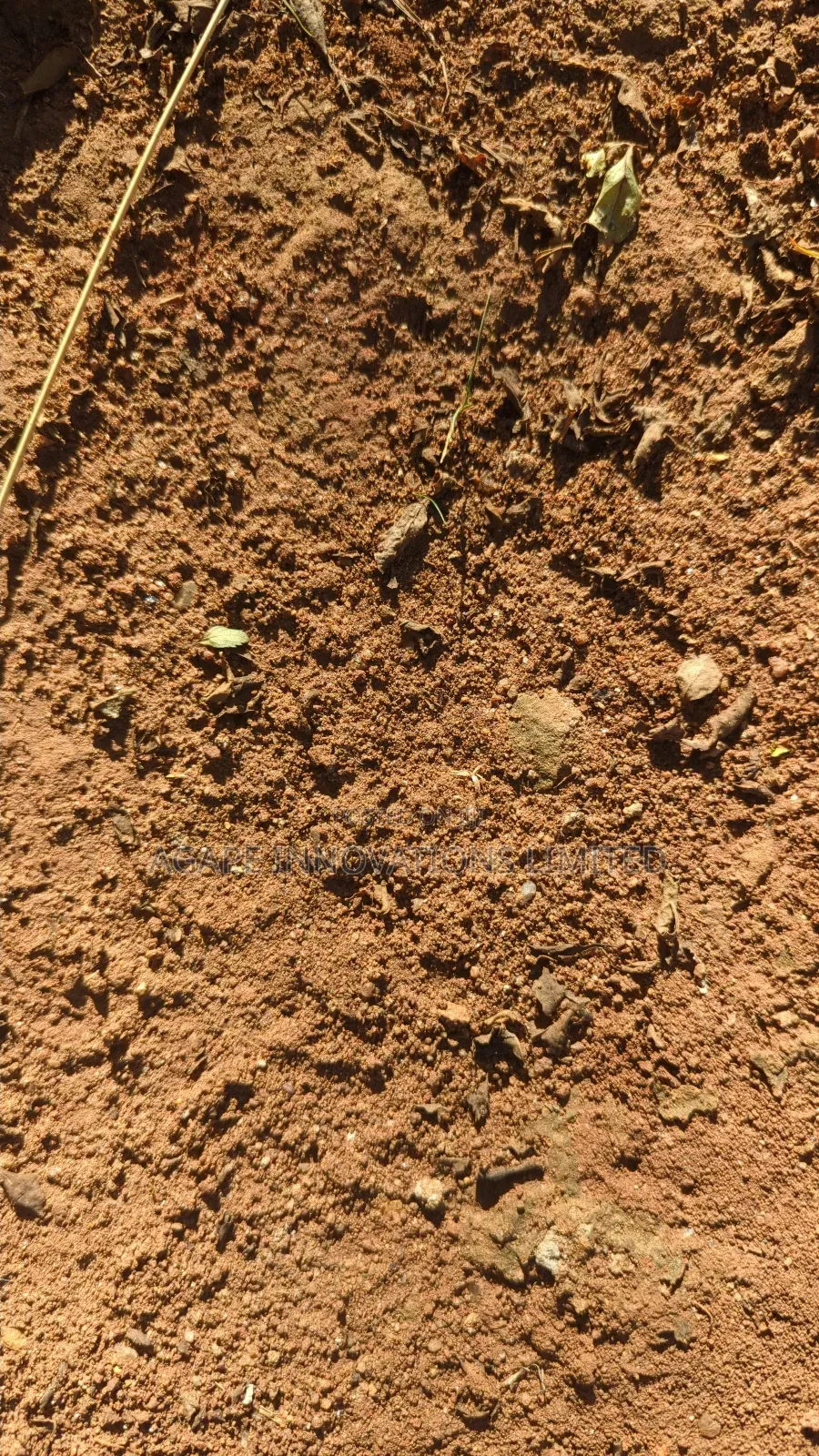 Soil Testing Services