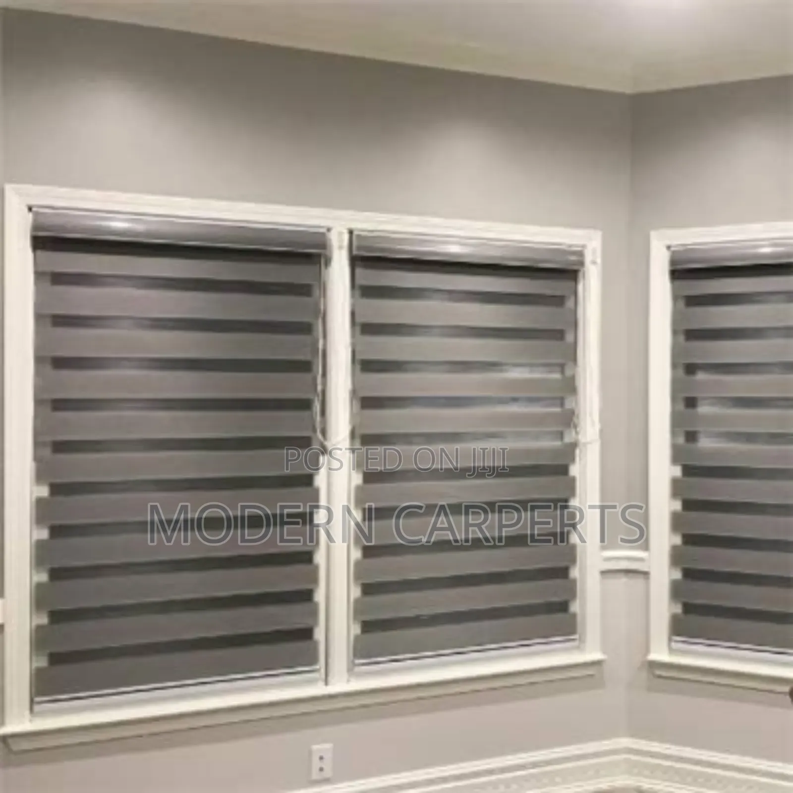 Window Curtain Zebra Blinds