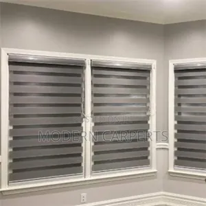 Window Curtain Zebra Blinds