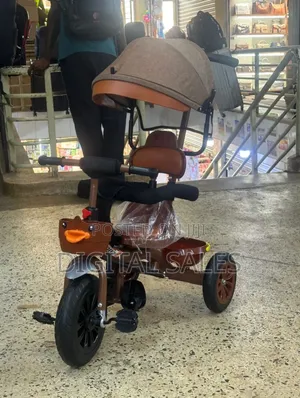Kids Tricycle With Canopy