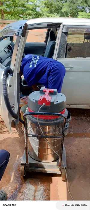 Professional Car Cleaning