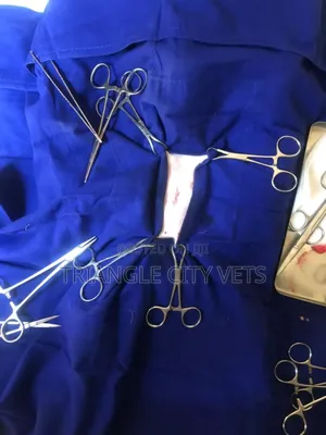 Veterinary Services