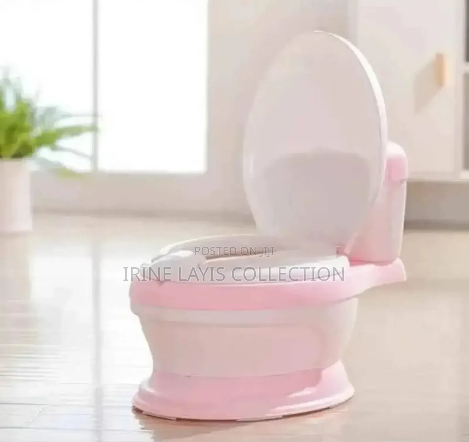 Baby's Potty