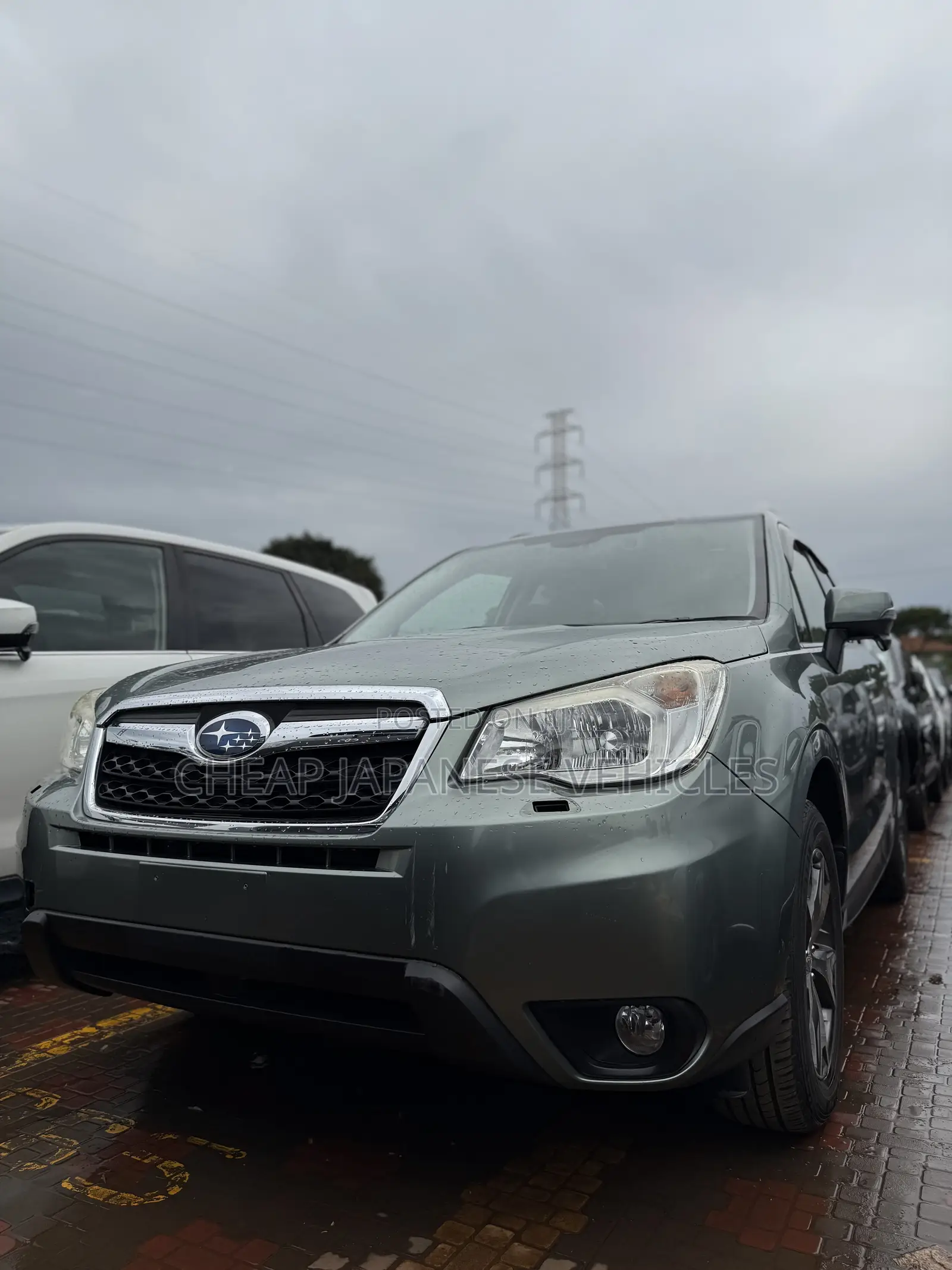 Subaru Forester 2014 Green