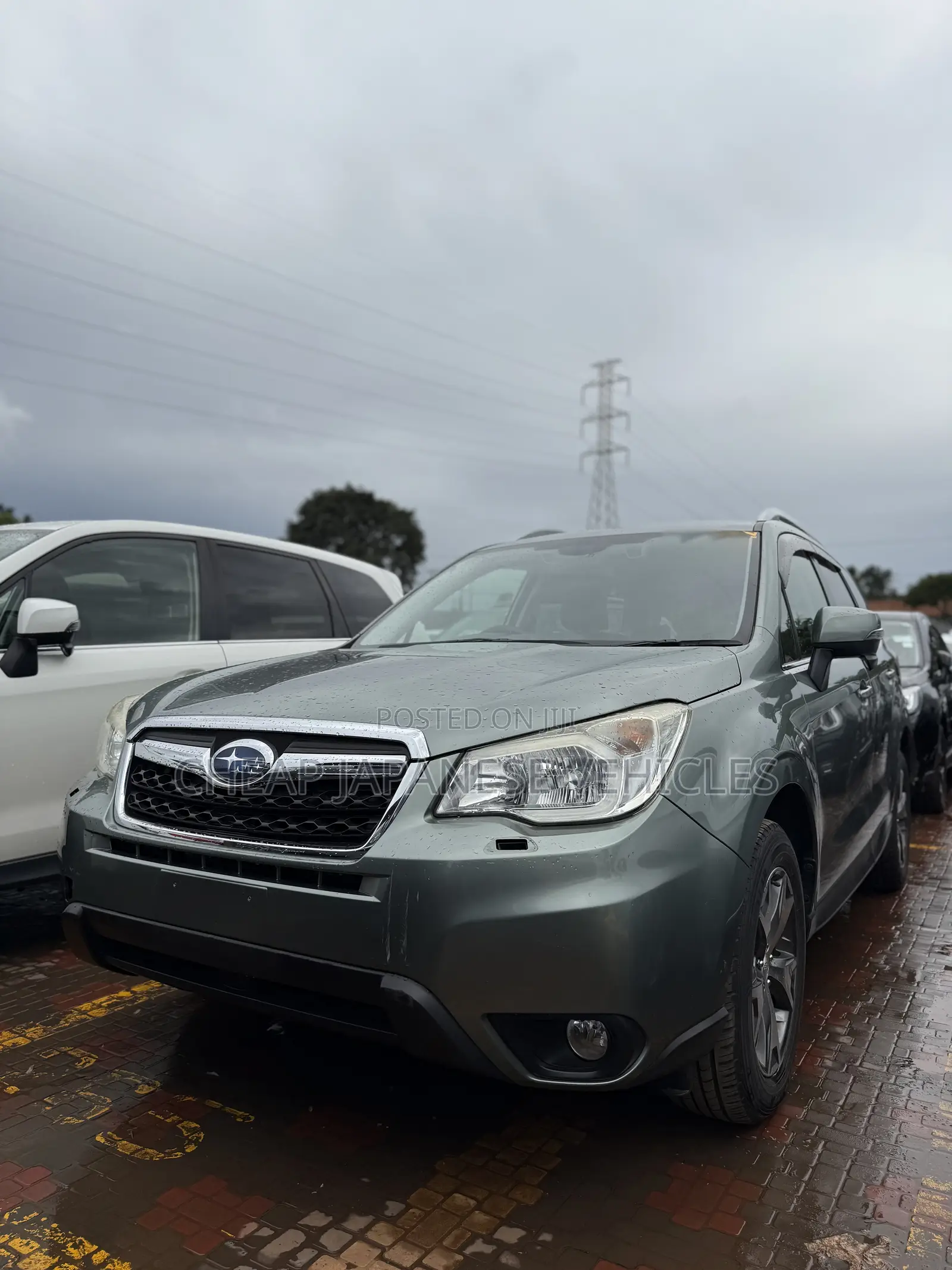 Subaru Forester 2014 Green
