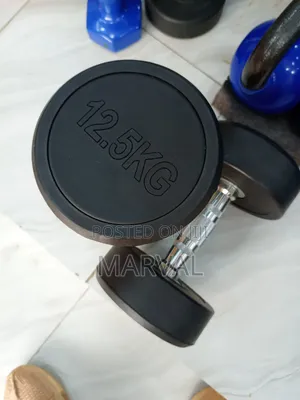 A Pair of 12.5kg Rounded Dumbbells Set Heavy Weights