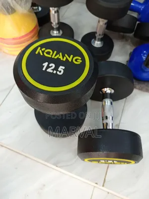 Two 12.5kg Rounded Dumbbells Set Heavy Weights