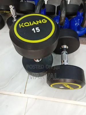 Two 15kg Round Dumbbell
