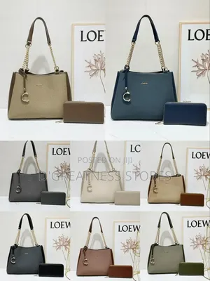 Classy Bag With Wallet