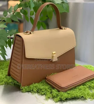 Classy Bag With Wallet