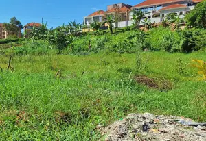 Two 50x100 Plots in Mulawa, Kira Municipality