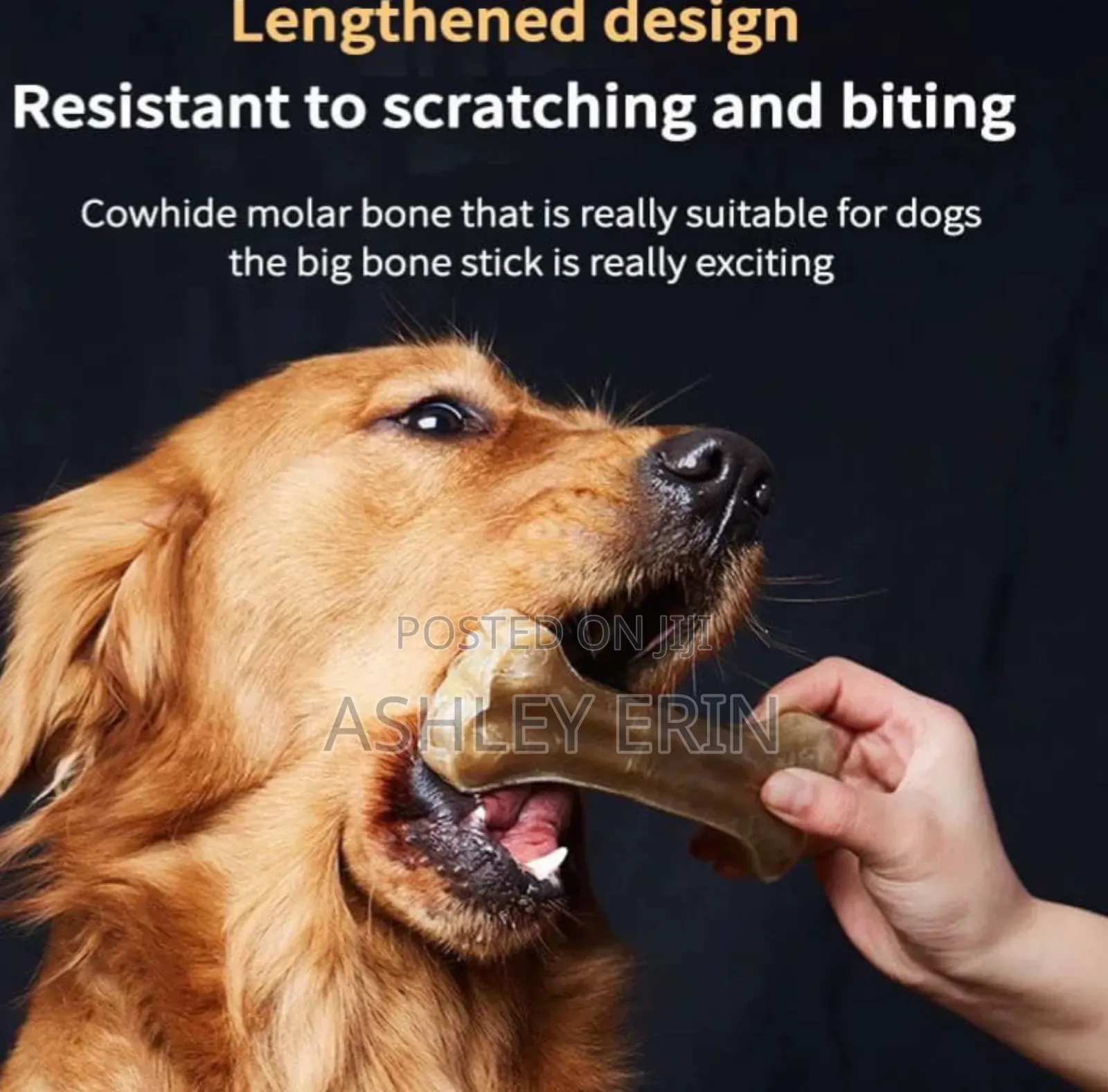 2pcs Bpa Free Dog Chew Bones Toys