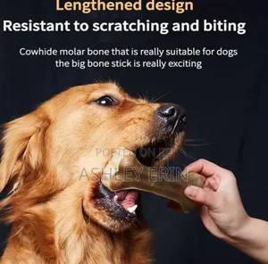 2pcs Bpa Free Dog Chew Bones Toys