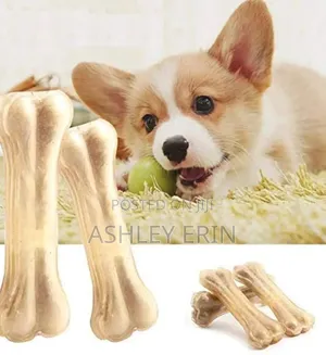 2pcs Bpa Free Dog Chew Bones Toys