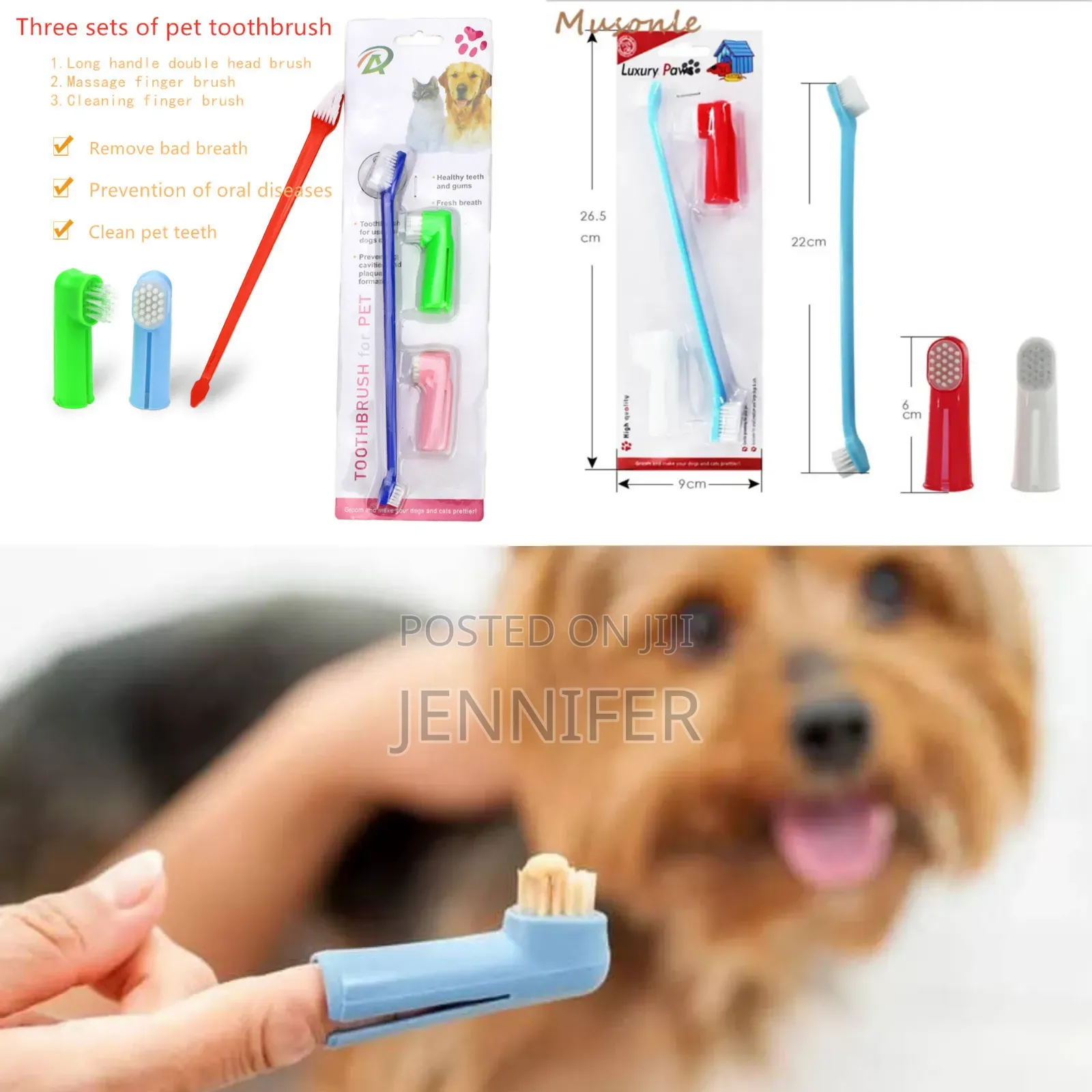 Cats and Dogs Toothbrush Set