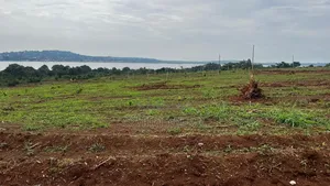 Entebbe Lake Side Plots