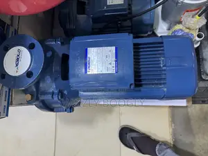 Pedrollo Surface Water Pump 10hp