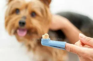 New Cats and Dogs Toothbrush Set