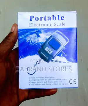 Portable Hanging Kitchen Scale