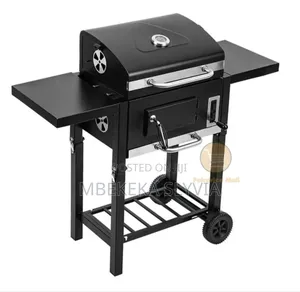 Single Elegant BBQ Grill/Charcoal BBQ Single