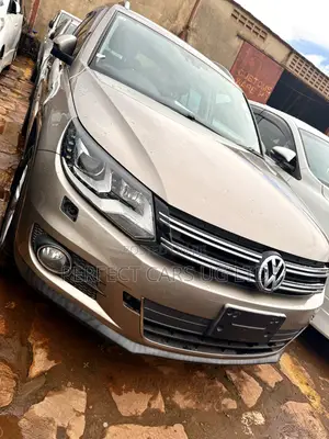 Volkswagen Tiguan 2014 Brown
