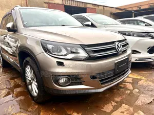 Volkswagen Tiguan 2014 Brown