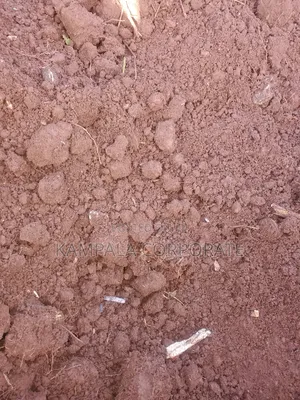 Black Soils for Sale