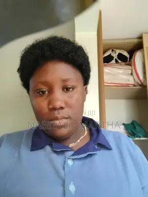 Laundry Attendant to Work in Makindye