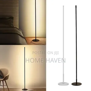 Modern Led Floor Lamp