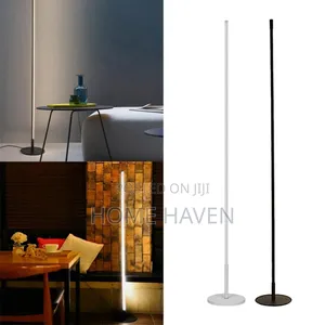 Modern Led Floor Lamp