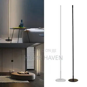 Modern Led Floor Lamp