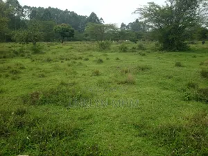 Land for Cell