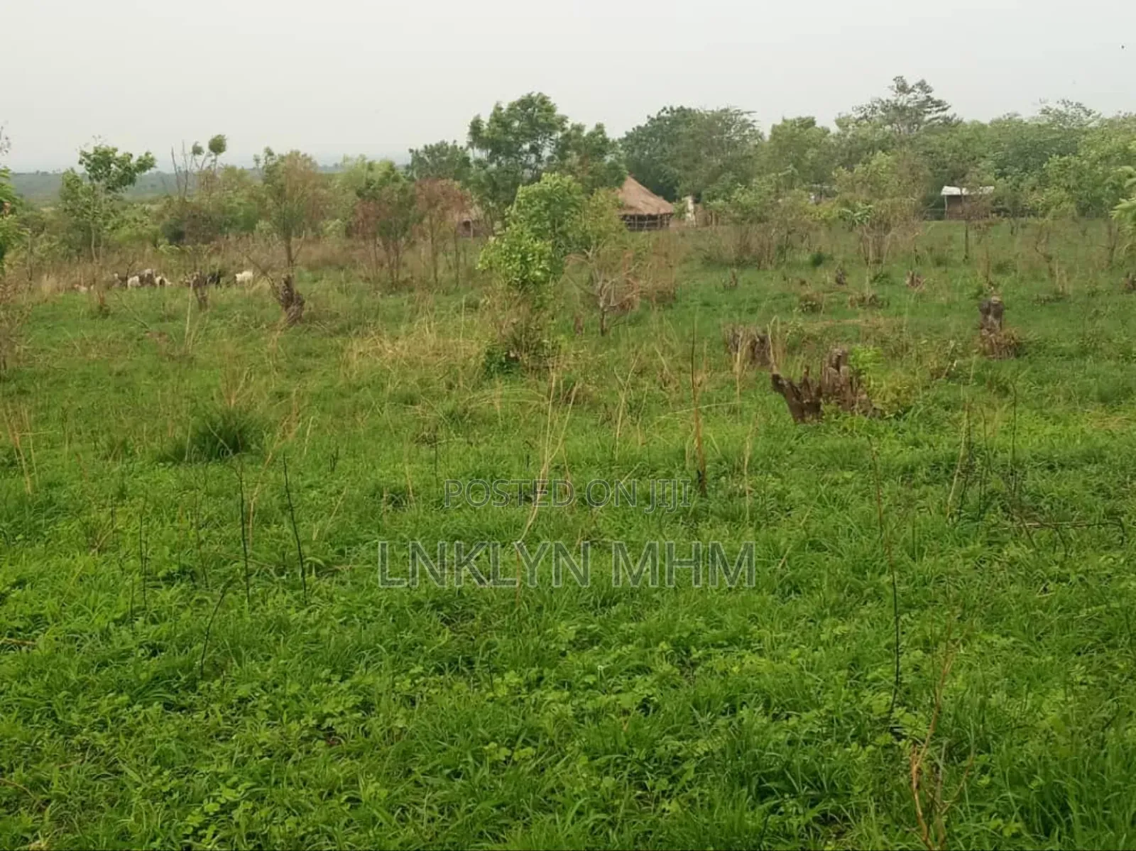 Land for Cell
