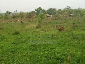 Land for Cell