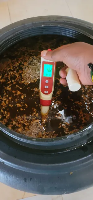 Kombucha Drink Formulation Dev't and Hands-on Training