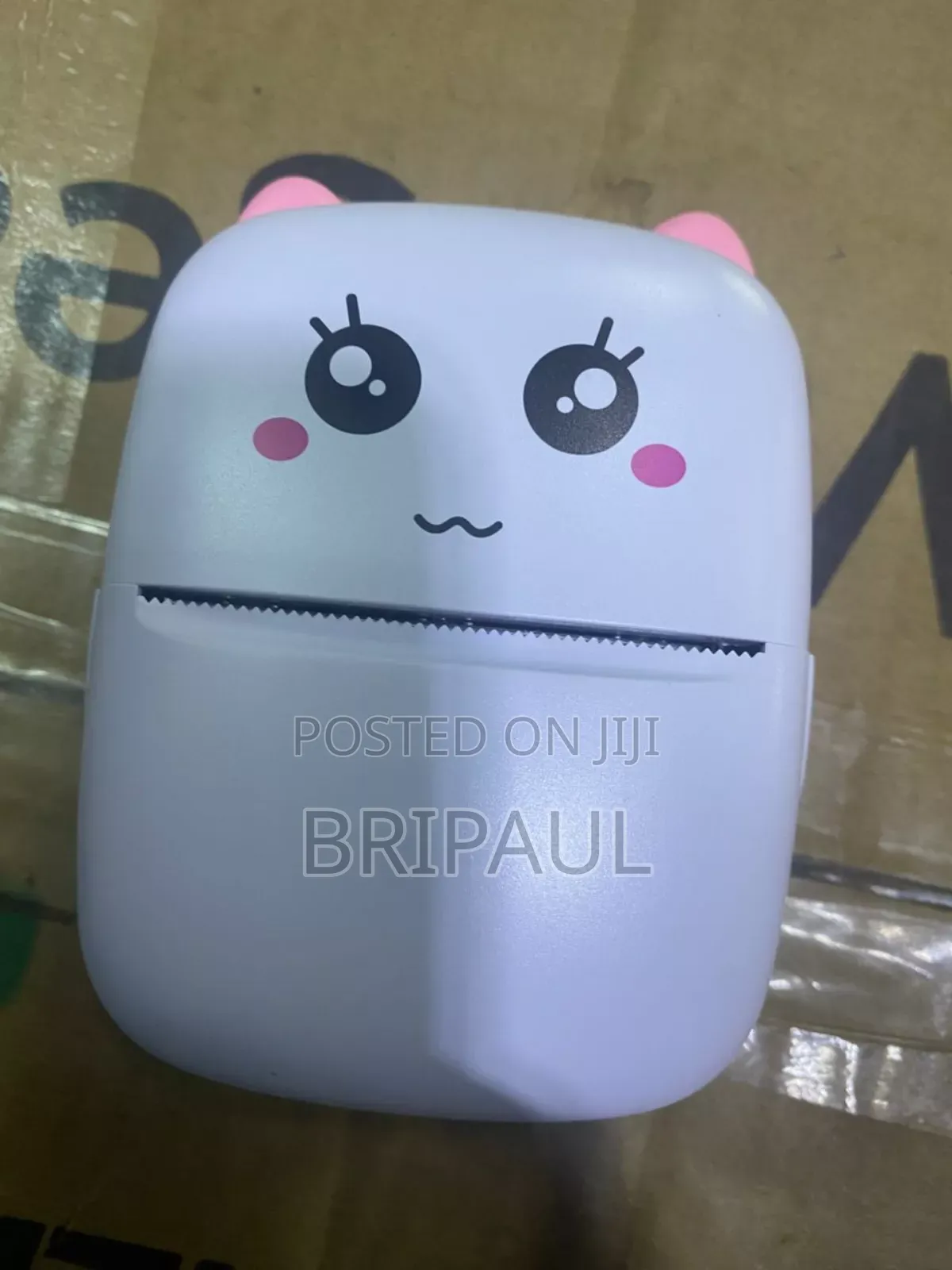 Mini Printer