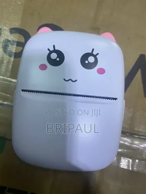 Mini Printer