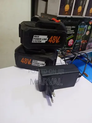 48v Rechargeable Battery With Charger