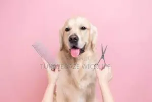 Dog Grooming