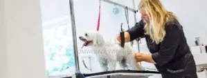 Dog Grooming